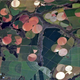 Illustration for article titled Satellite Images of Agricultural Fields Make the Earth Look 8-Bit